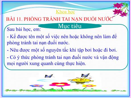 Bài giảng Khoa học 4 - Bài 11: Phòng tránh tai nạn đuối nước