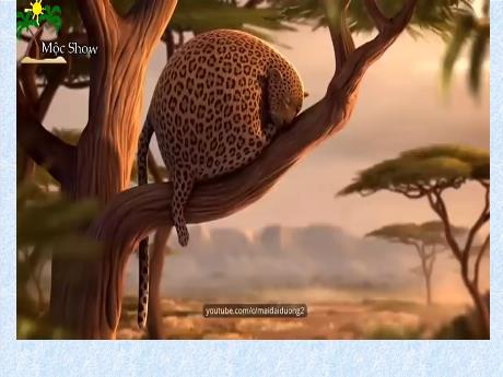 Bài giảng Khoa học 4 - Bài 13: Phòng bệnh béo phì - Lê Nữ Thanh Tuyết