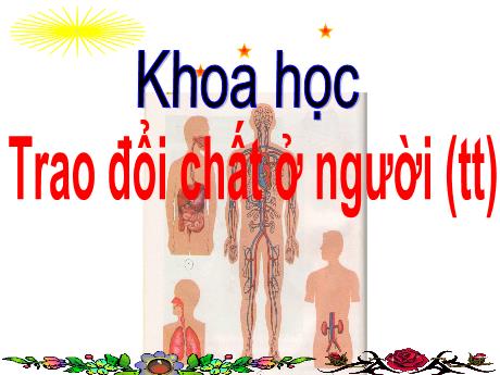 Bài giảng Khoa học 4 - Bài 3: Trao đổi chất ở người (Tiếp theo)