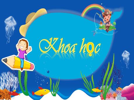 Bài giảng Khoa học 4 - Tuần 10 - Nước có tính chất gì?