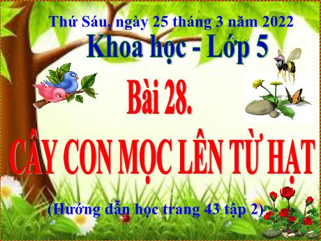 Bài giảng Khoa học 5 - Bài 28: Cây con mọc lên từ hạt - Năm học 2021-2022
