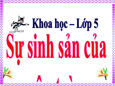 Bài giảng Khoa học 5 - Bài 56: Sự sinh sản của côn trùng - Năm học 2021-2022