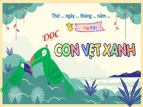 Bài giảng Tiếng Việt 4 (Đọc) - Con vẹt xanh