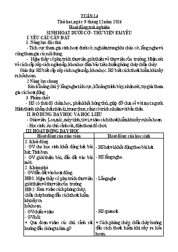 Giáo án các môn Lớp 3 (Kết nối tri thức) - Tuần 14 - Năm học 2024-2025